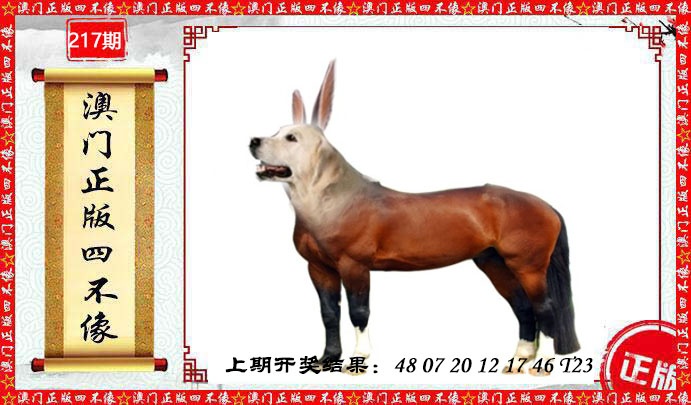 217期澳门另版四不像[图]