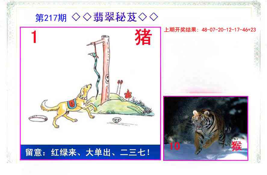 217期翡翠报[图]