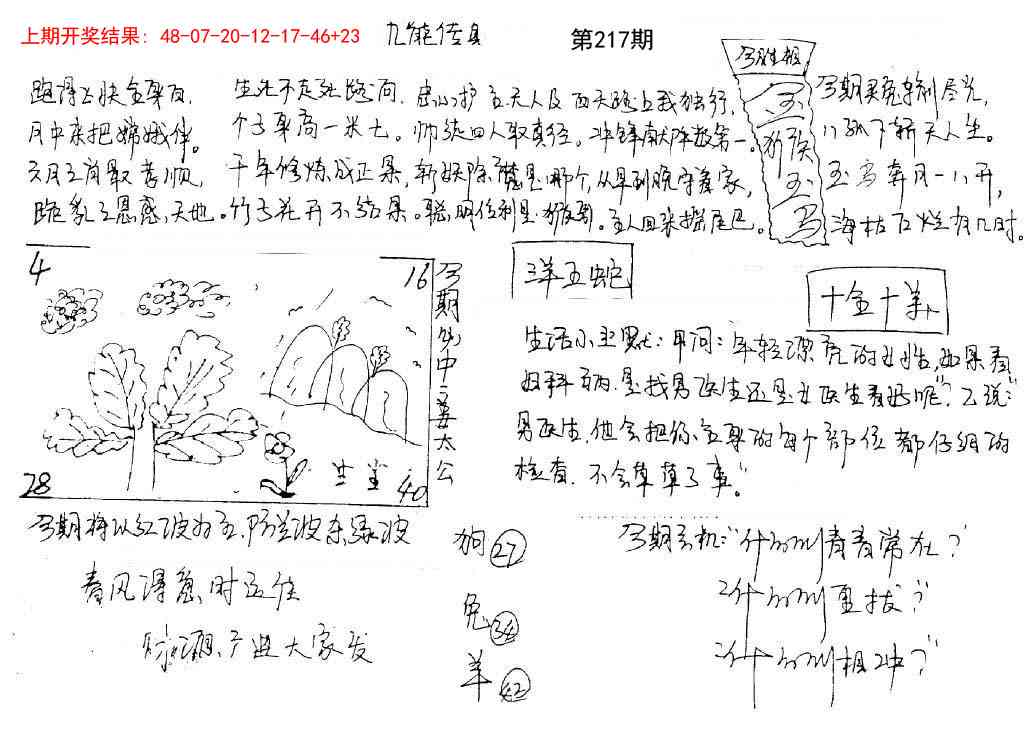 217期手写九龙内幕[图]