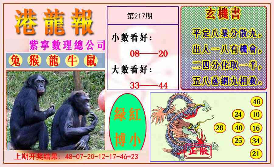 217期港龙报[图]