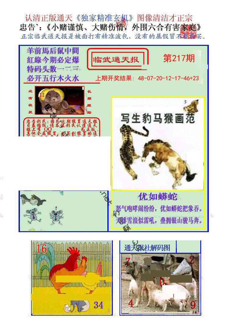 217期临武通天报[图]