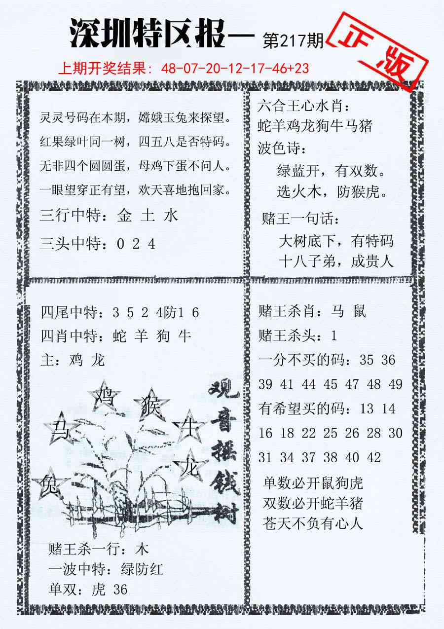 217期深圳特区报A[图]