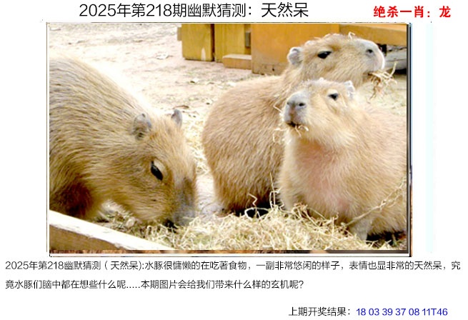 218期幽默猜测[图]