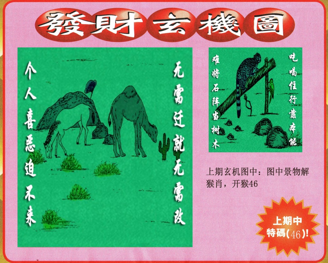 218期发财图[图]