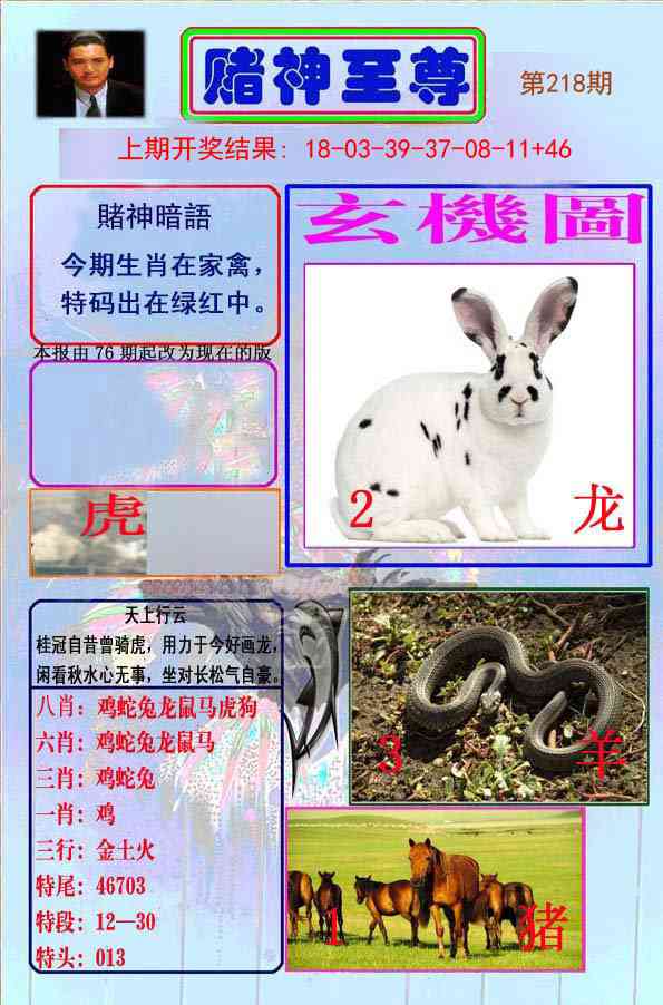 218期赌神至尊[图]