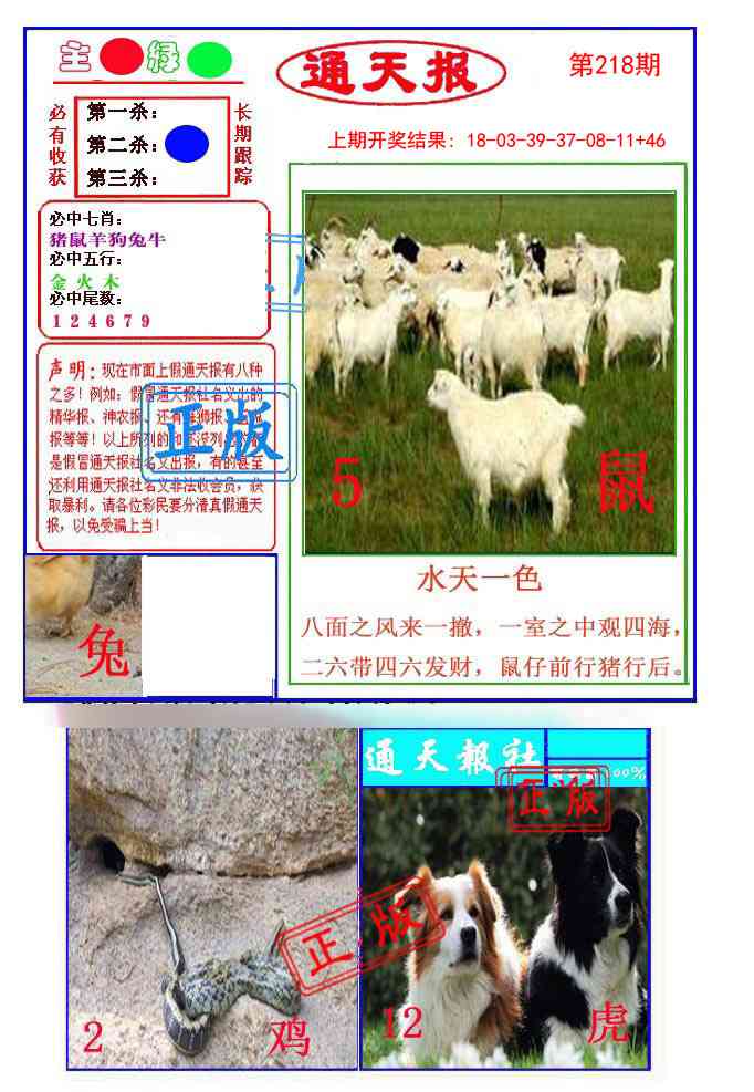 218期通天杀波图1[图]