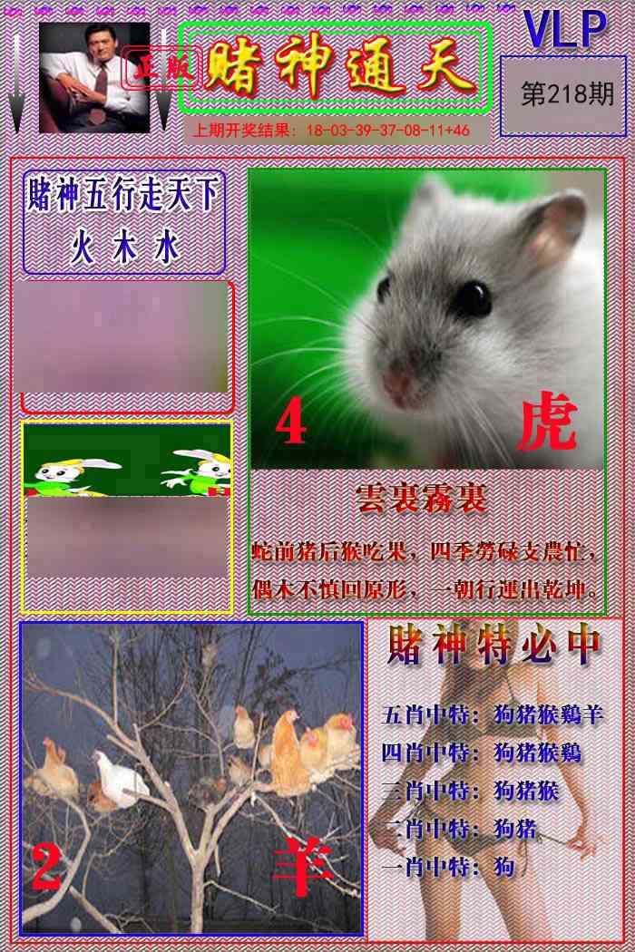218期赌神通天报[图]