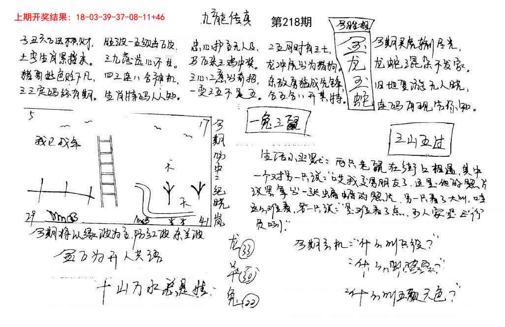 218期手写九龙内幕[图]