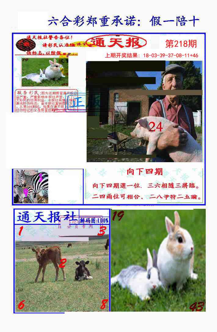 218期假一陪十通天报[图]