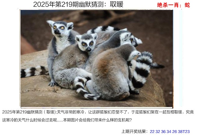219期幽默猜测[图]