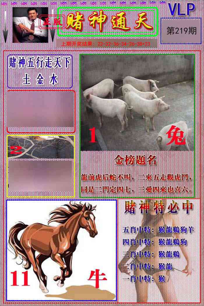 219期赌神通天报[图]