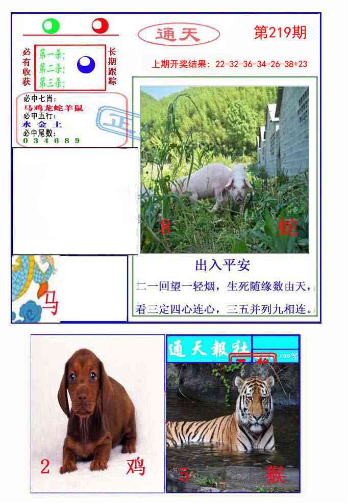 219期通天杀波图2[图]