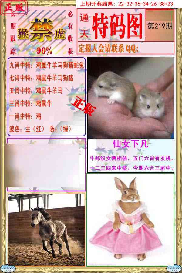 219期特码图[图]