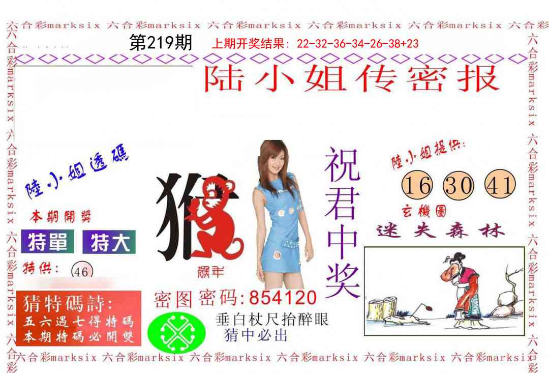 219期陆小姐传密A[图]