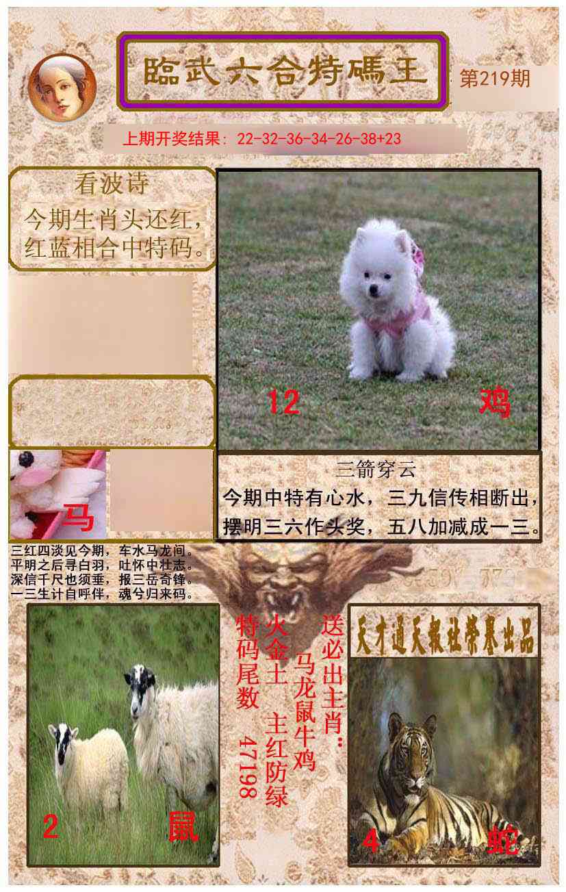 219期临武六合特码王[图]