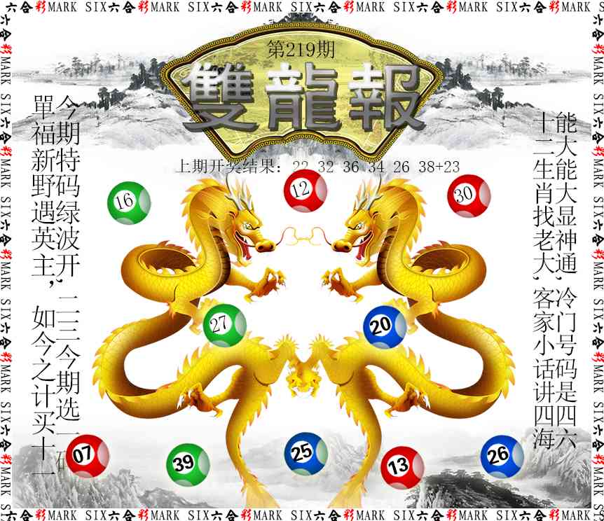 219期双龙报[图]
