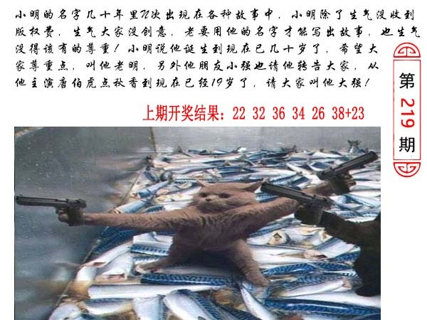 219期澳门生活幽默[图]