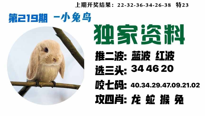 219期小兔鸟[图]