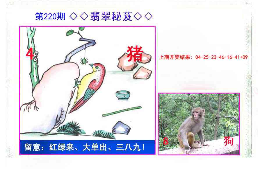 220期翡翠报[图]