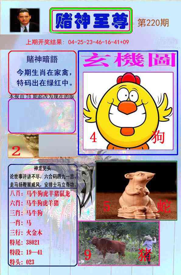 220期赌神至尊[图]