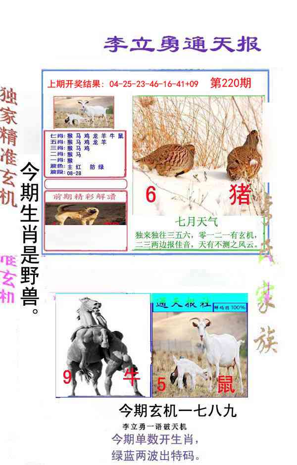 220期李立勇通天报[图]