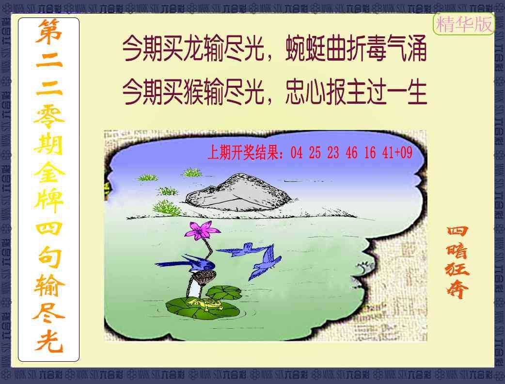 220期金牌四句输尽光[图]