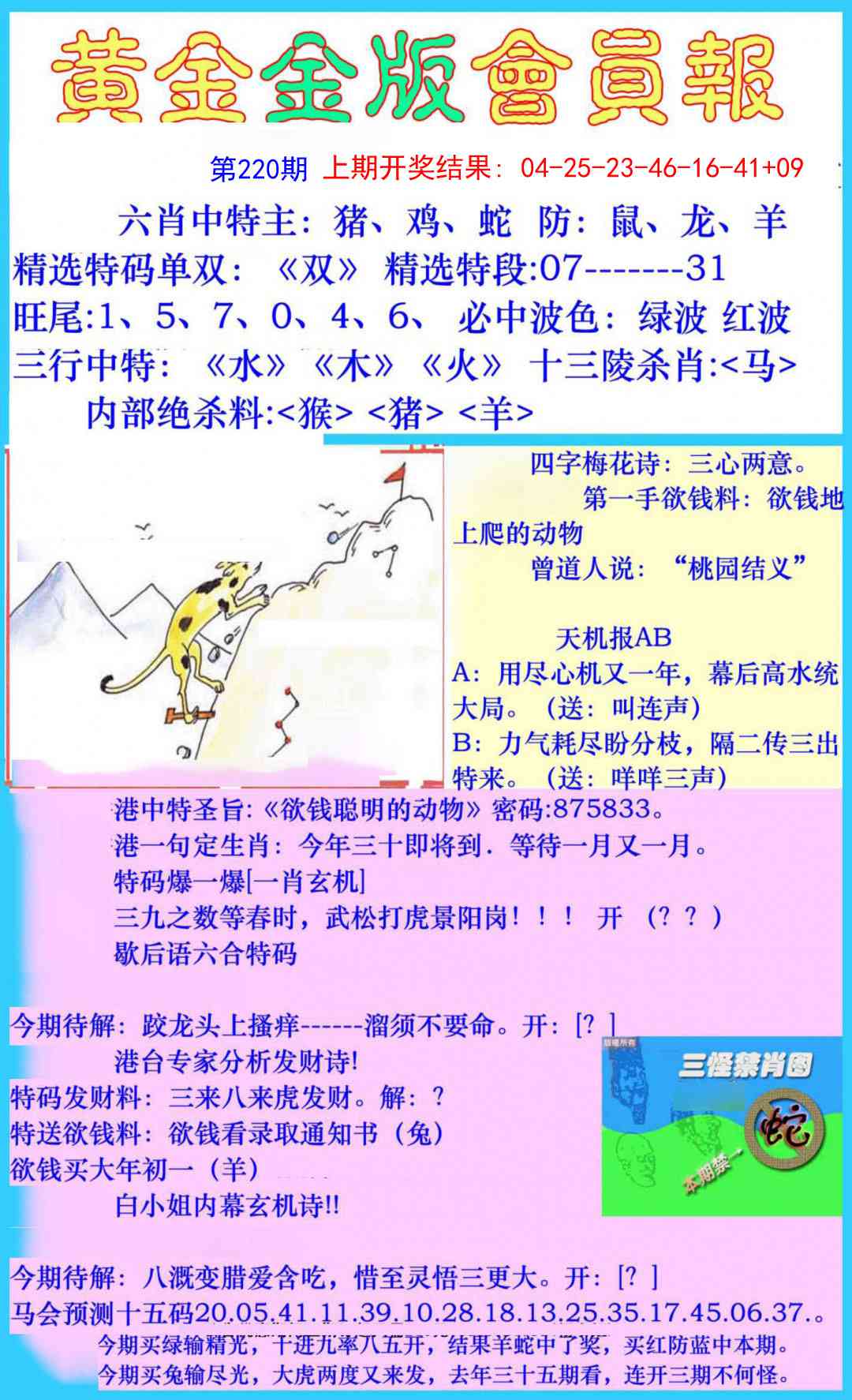 220期黄金金版会员报[图]