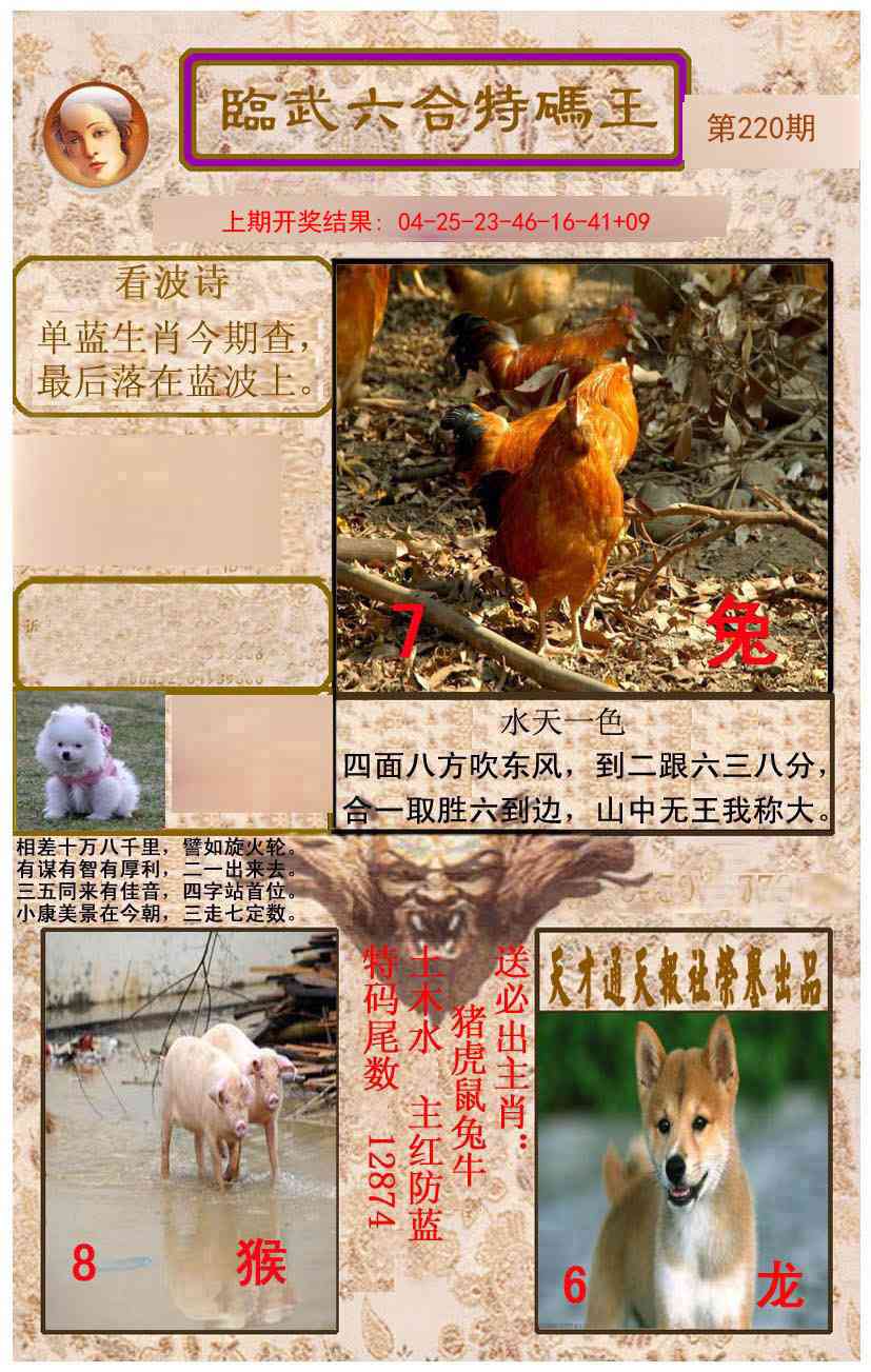 220期临武六合特码王[图]