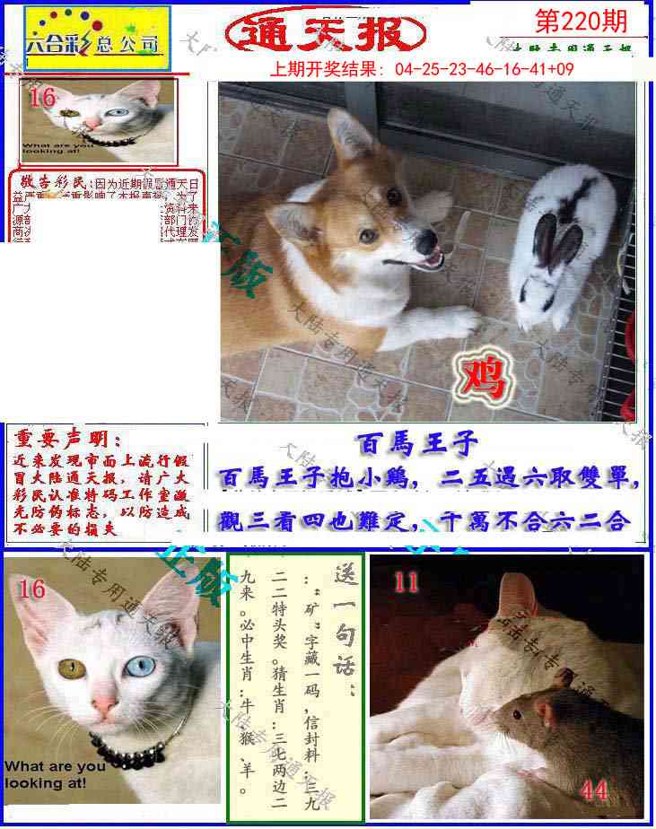 220期大陆通天报[图]