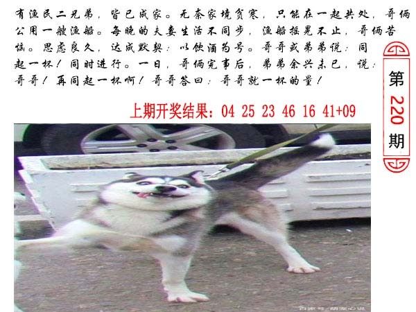 220期澳门生活幽默[图]