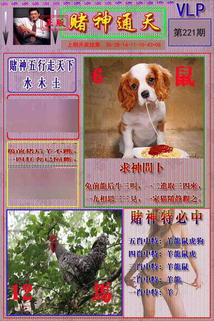 221期赌神通天报[图]