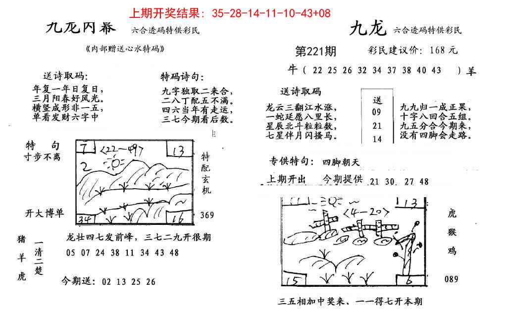 221期九龙内幕[图]