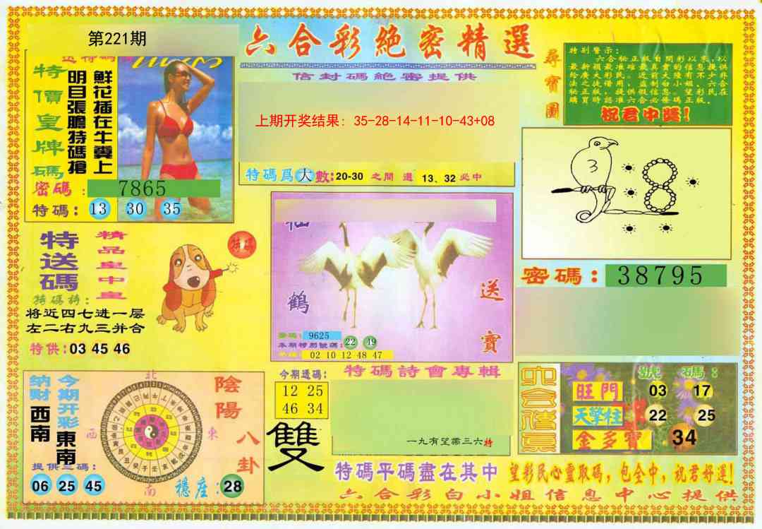 221期绝密精选A[图]