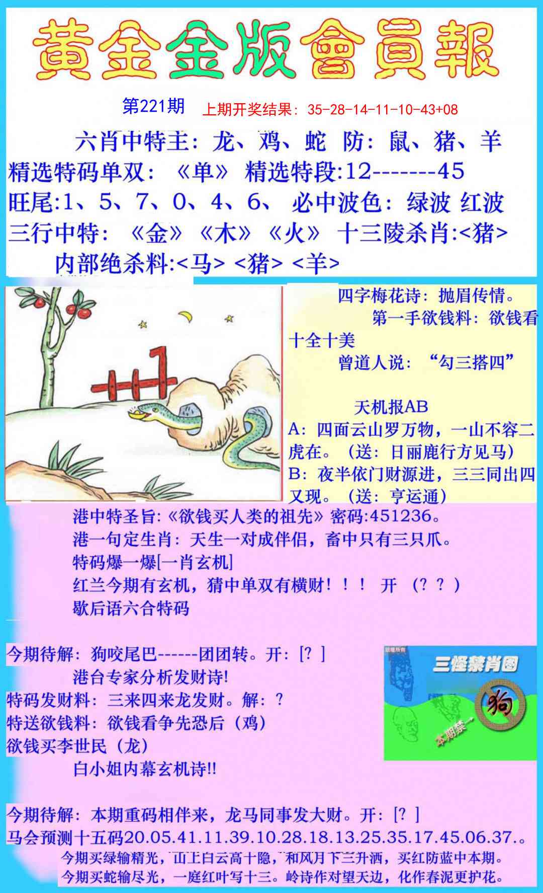 221期黄金金版会员报[图]
