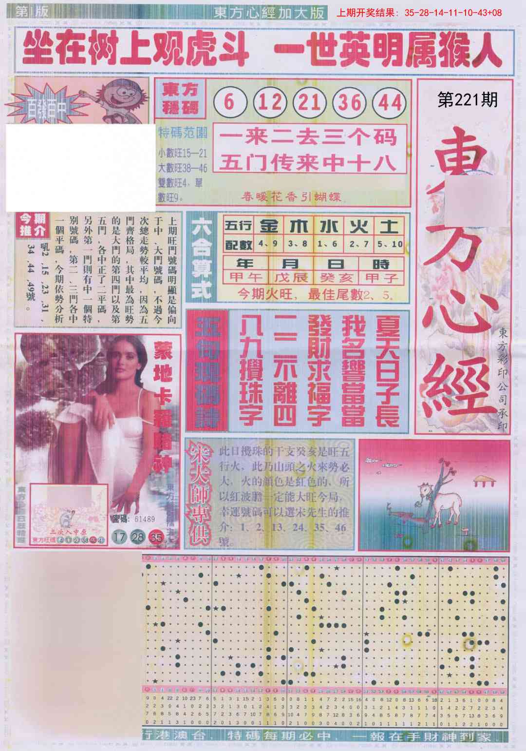 221期东方心经A加大版[图]