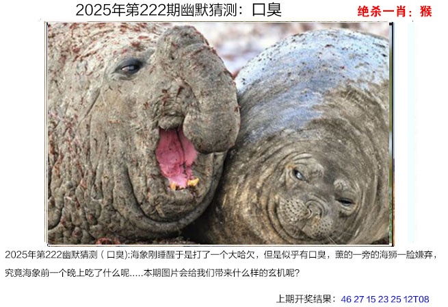 222期幽默猜测[图]