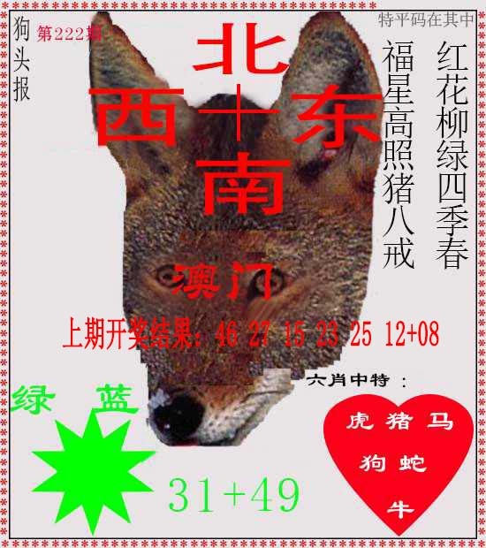 222期狗头报[图]