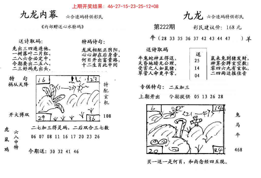 222期九龙内幕[图]