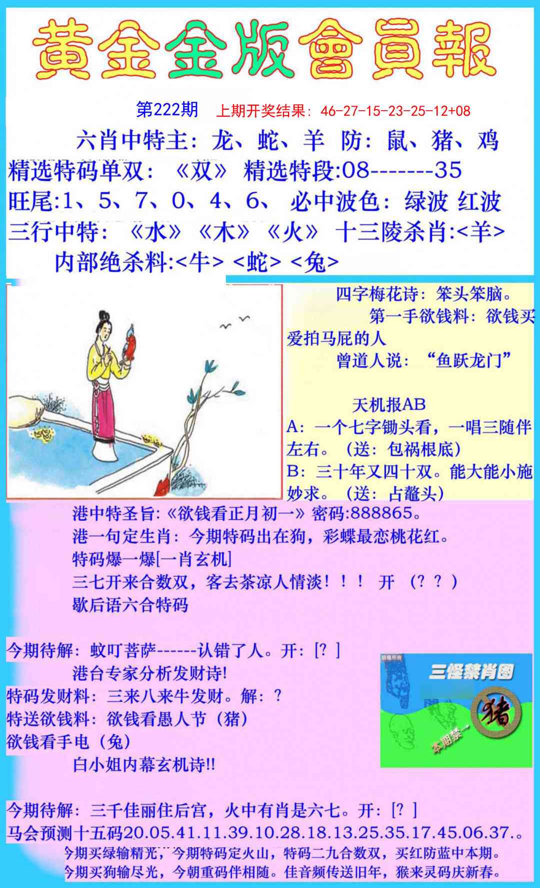 222期黄金金版会员报[图]