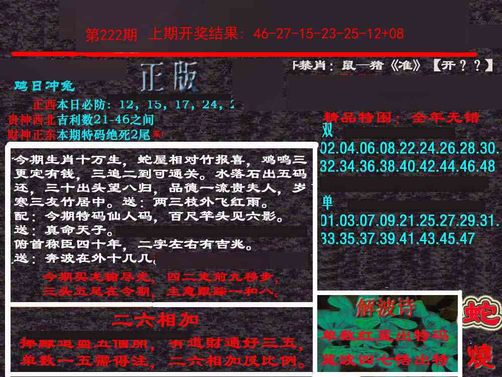 222期新港内幕[图]