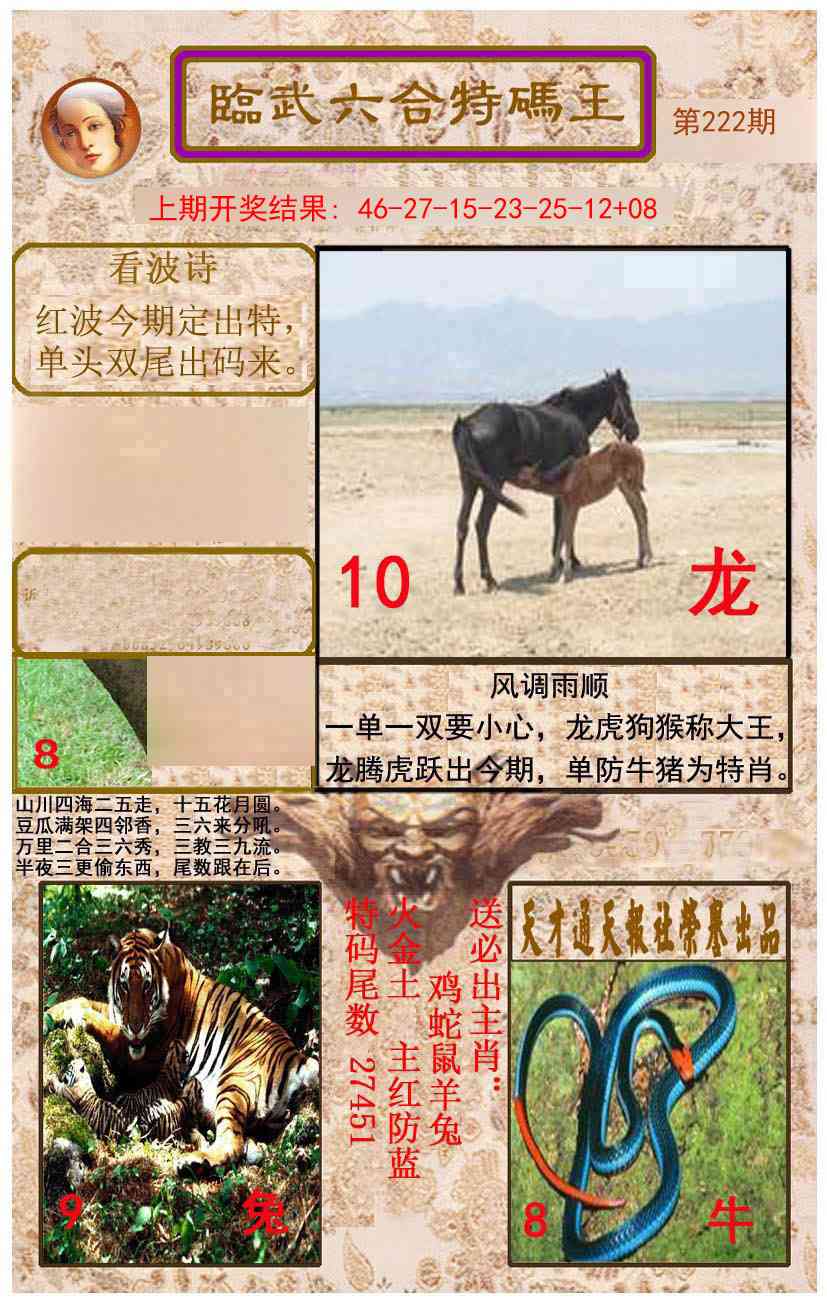 222期临武六合特码王[图]