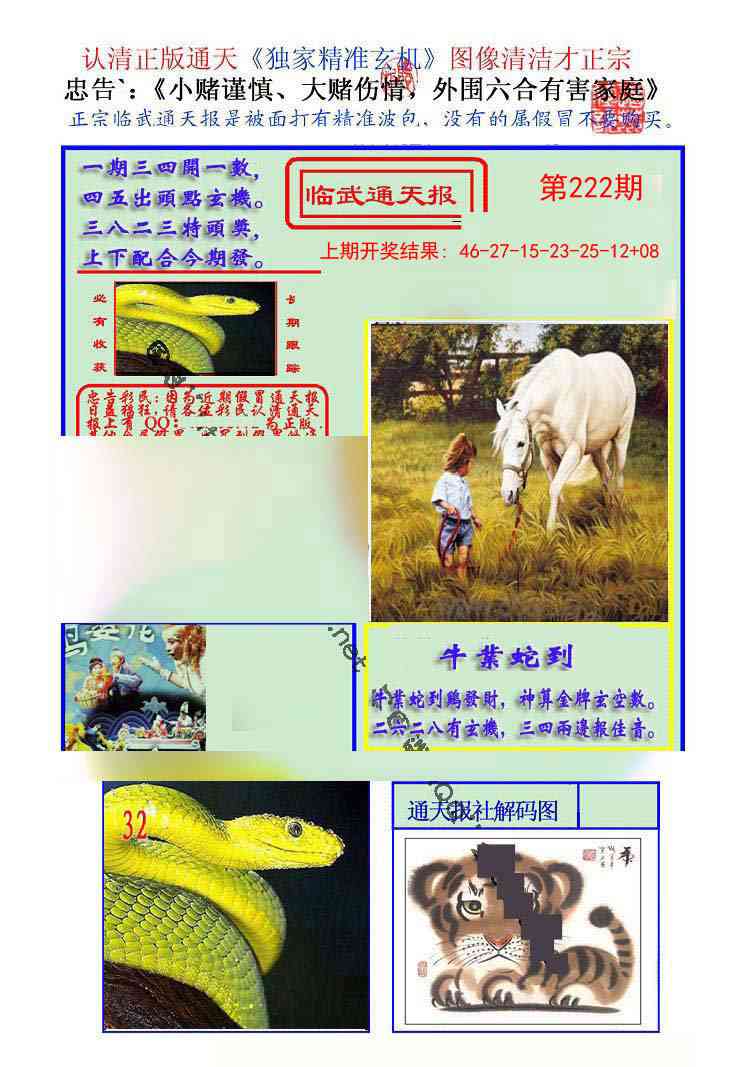 222期临武通天报[图]