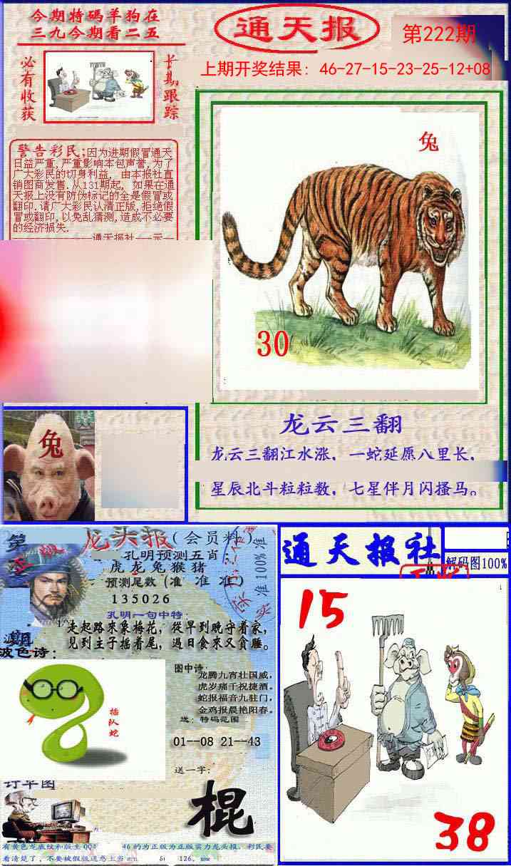 222期实力通天报[图]