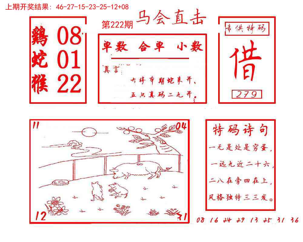 222期马会直击[图]