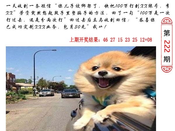 222期澳门生活幽默[图]
