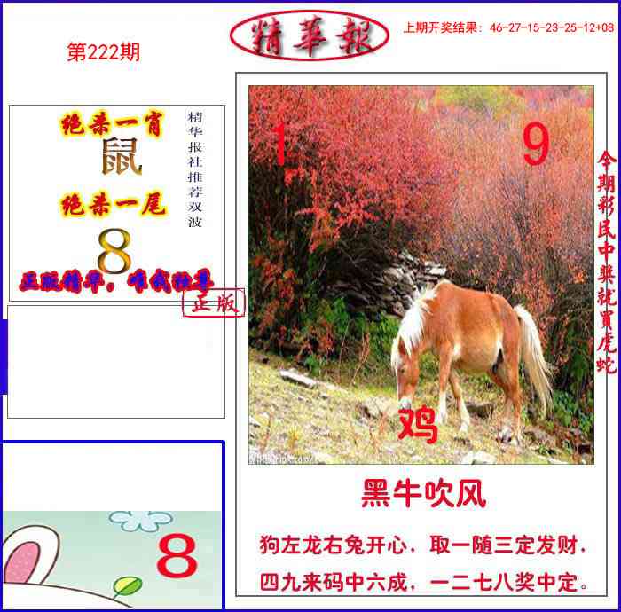 222期新精华报报[图]