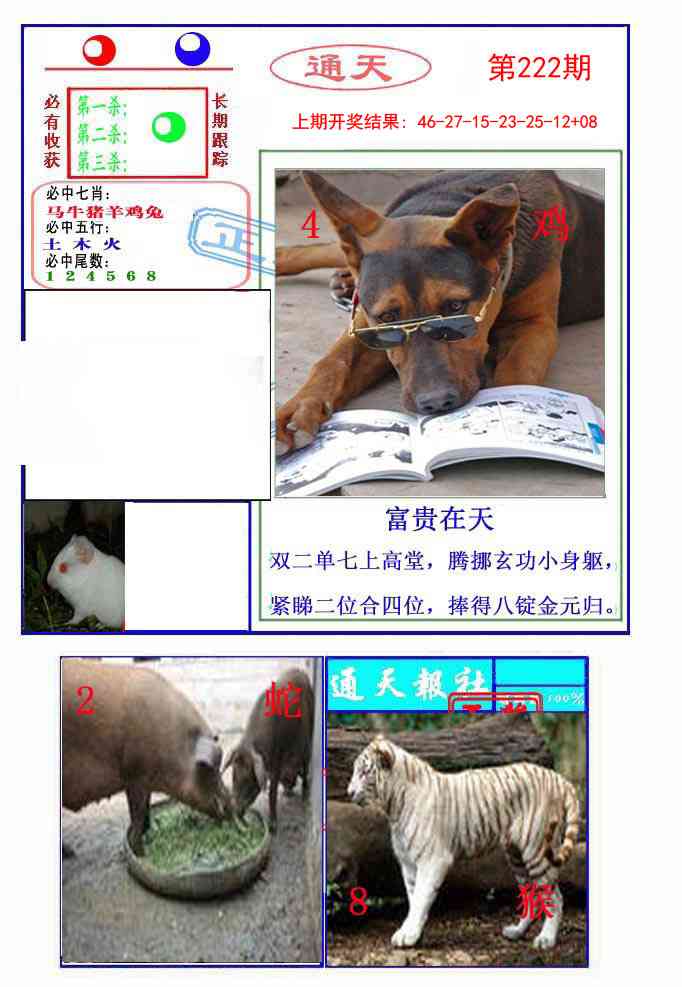 222期通天杀波图2[图]