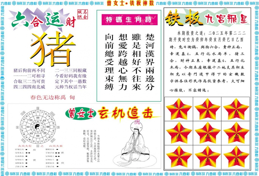 222期曾女士铁板神数B[图]