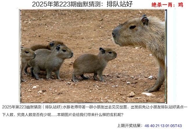 223期幽默猜测[图]