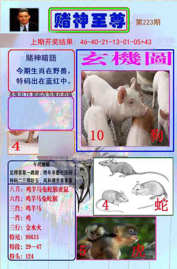 223期赌神至尊[图]